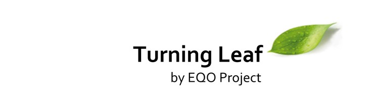 Turning Leaf – Project development